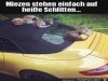weiter