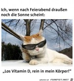 Vitamin-D-tanken.jpg auf www.funpot.net
