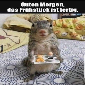 Begrüßungsbild