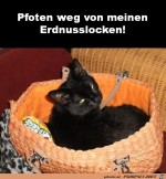 Pfoten-weg-von-den-Erdnusslocken.jpg auf www.funpot.net