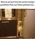 Guter-Platz.jpg auf www.funpot.net