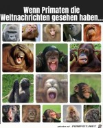 Man-lacht-sich-tot.jpg auf www.funpot.net