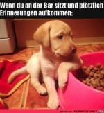 An-der-Bar.jpg auf www.funpot.net
