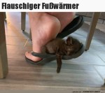 Mdes-Ktzchen.jpg auf www.funpot.net