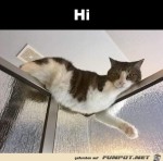 Hi.jpg auf www.funpot.net