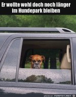 Hund-wollte-lnger-im-Park-bleiben.jpg auf www.funpot.net