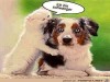 weiter