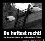 Die-Menschen-landen-gar-nicht-auf-den-Fen.jpg auf www.funpot.net