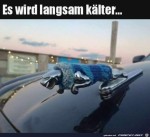 Es-wir-klter.jpg auf www.funpot.net