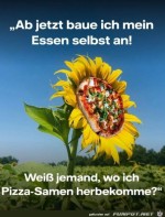 Essen-selber-anbauen.jpg auf www.funpot.net