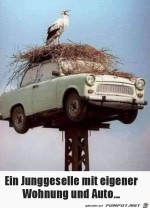 Schicker-Junggeselle.jpg auf www.funpot.net