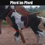 Pferd-im-Pferd.jpg auf www.funpot.net