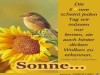 weiter