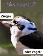 Was-siehst-du?.jpg auf www.funpot.net