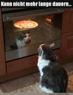 Pizza-ist-bald-fertig.jpg auf www.funpot.net