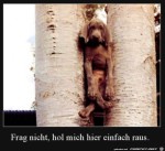 Hol-mich-da-raus.jpg auf www.funpot.net