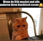 Wenn-du-Dit-machst.jpg auf www.funpot.net
