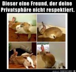Aufdringlicher-Freund.jpg auf www.funpot.net