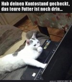 Teures-Futter-passt-ins-Budget.jpg auf www.funpot.net