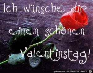 ich-wünsche-einen-schönen-Valentinstag.jpg auf www.funpot.net