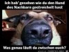 weiter