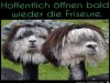 weiter