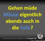 Muse-gehen-in-die-Falle.jpg auf www.funpot.net