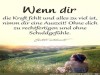 weiter
