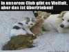 weiter