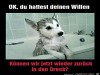 weiter
