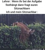 Sitznachbar-hngt-auch-fest.jpg auf www.funpot.net