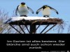 weiter