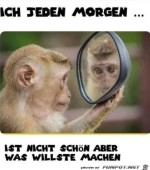 Jeden-Morgen-dasselbe.jpg auf www.funpot.net