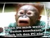 weiter