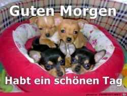 Guten-Morgen-7.jpg auf www.funpot.net