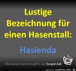 Moderner-Hasenstall.jpg auf www.funpot.net