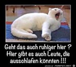 Geht-das-hier-auch-leiser?.jpg auf www.funpot.net