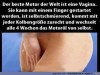 weiter