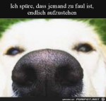 Steh-auf.jpg auf www.funpot.net