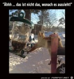 Erwischt.jpg auf www.funpot.net