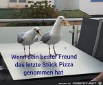 Bser-bester-Freund.jpg auf www.funpot.net