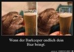 Endlich-ist-das-Bier-da.jpg auf www.funpot.net