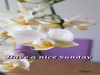 weiter