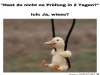 weiter