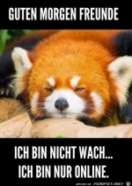 Guten-Morgen.jpg auf www.funpot.net