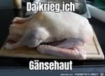 Gnsehaut.jpg auf www.funpot.net