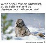Wtende-Freundin.jpg auf www.funpot.net