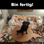 Hund-hat-ganze-Arbeit-geleistet.jpg auf www.funpot.net