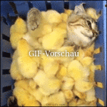 adoptiert.gif auf www.funpot.net