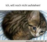 Ich-will-noch-nicht-aufstehen.jpg auf www.funpot.net